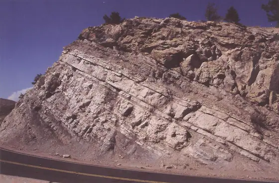 Tilted beds of the Dakota interval at Dinosaur Ridge near Golden, Colorado
