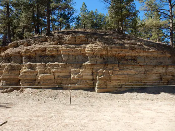 Paper shale exposure of the Florissant Formation at a fossil quarry in Colorado