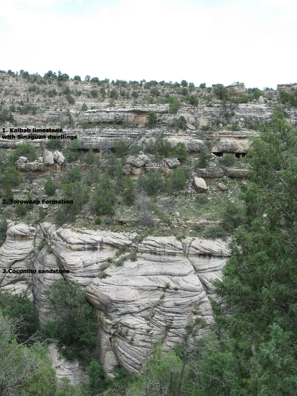 Layered Kaibab Limestone and associated strata at Walnut Canyon National Monument, Arizona