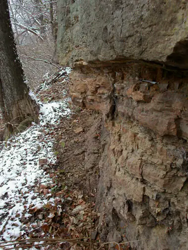 Layered Maquoketa Group exposure at Kankakee River State Park, Illinois