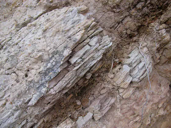 Thinly layered Monterey Formation exposed at Gaviota State Park, California