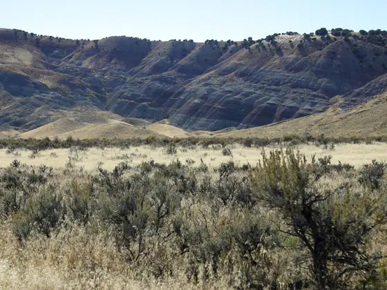 Distinctively banded Morrison Formation outcrop in Dinosaur National Monument, Utah