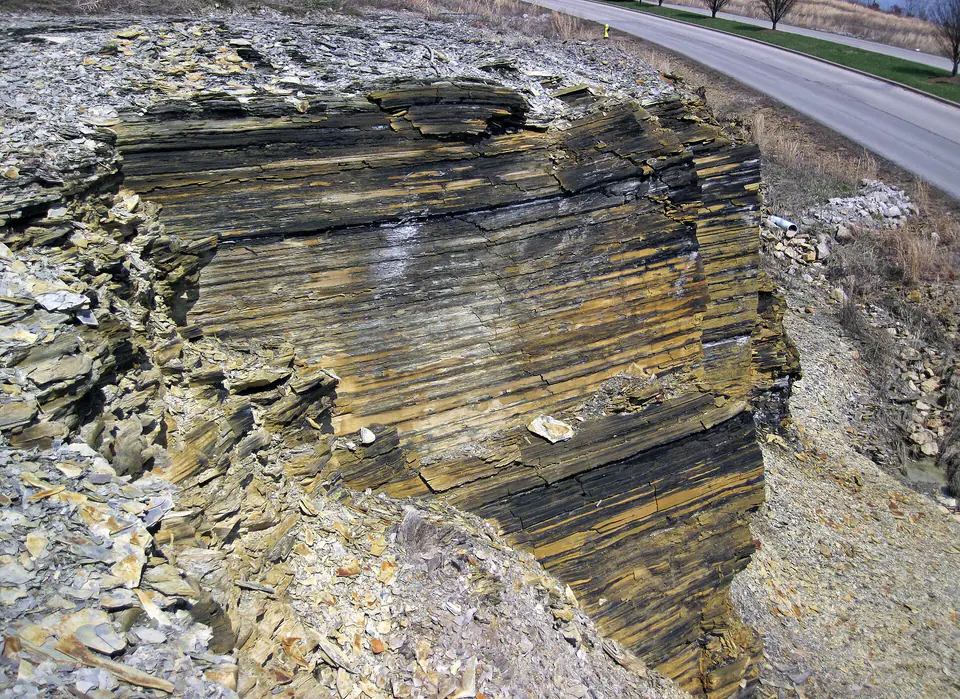 Dark, chippy-weathering New Albany Shale exposed at MacDonald Knob in Kentucky