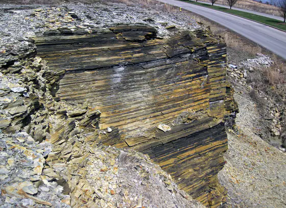Dark, chippy-weathering New Albany Shale exposed at MacDonald Knob in Kentucky