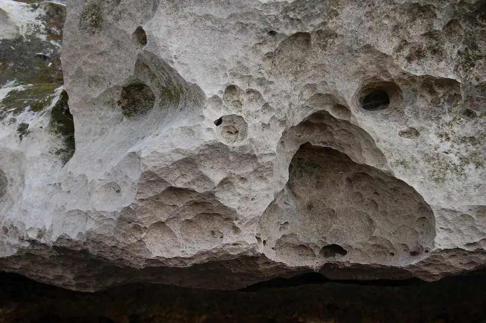Pale fossiliferous Ocala Limestone exposed in Florida