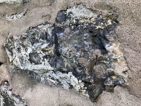 Blocks of fossiliferous Onondaga Limestone in the walls of Old Fort Erie
