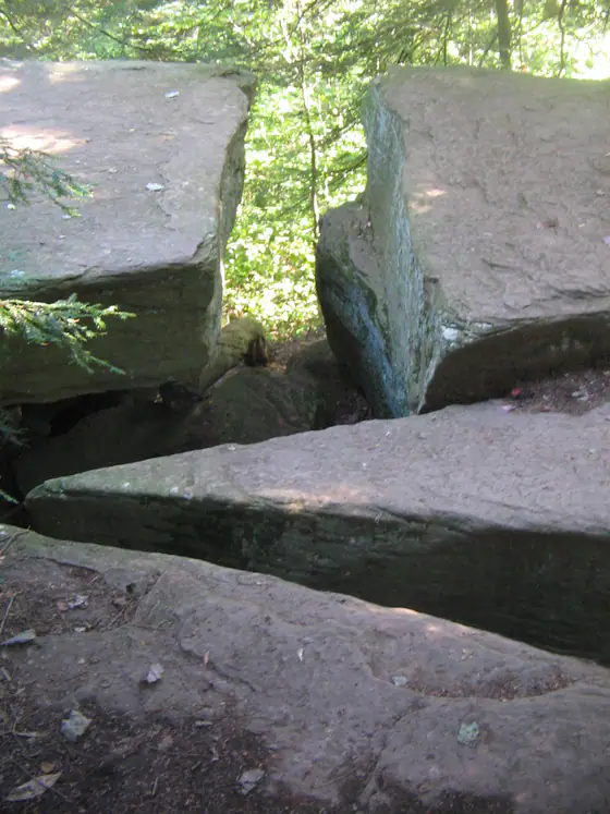 Blocky Pocono Formation rocks split by weathering at Ricketts Glen State Park, Pennsylvania