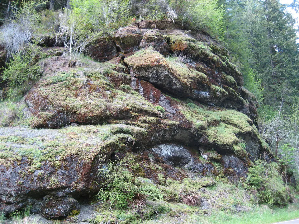 Dark volcanic rocks exposed in the Oregon Coast Range