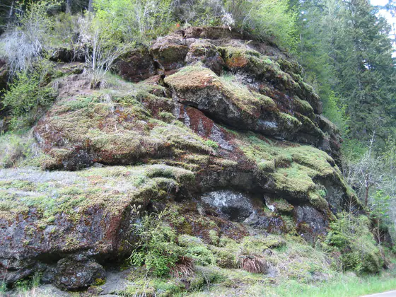 Dark volcanic rocks exposed in the Oregon Coast Range