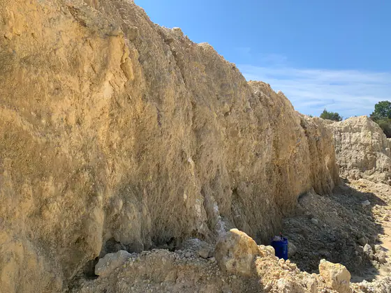 Pale Suwannee Limestone exposed at the surface in Florida