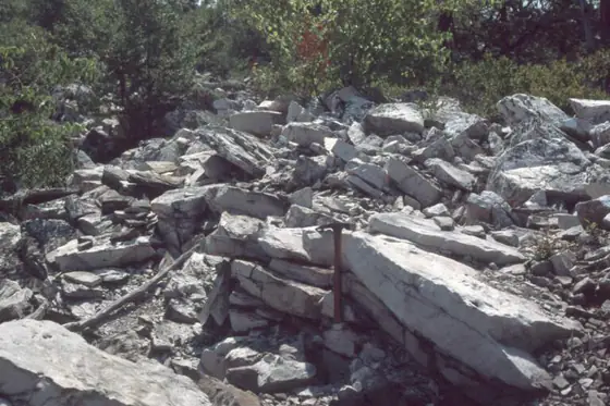 Resistant Tuscarora Formation sandstone outcrop in Pennsylvania