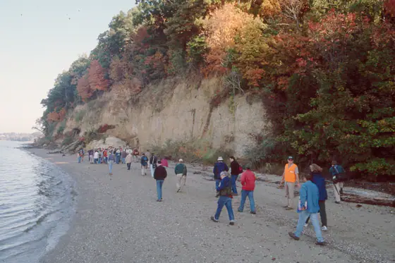 Layered Yorktown Formation exposed at Carters Grove Bluffs in Virginia