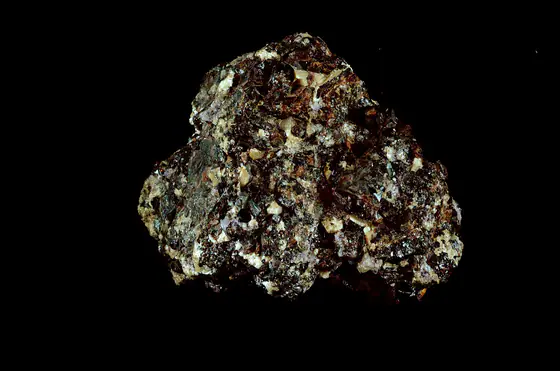 Dense cluster of dark brown lustrous cassiterite crystals in a pale mineral matrix
