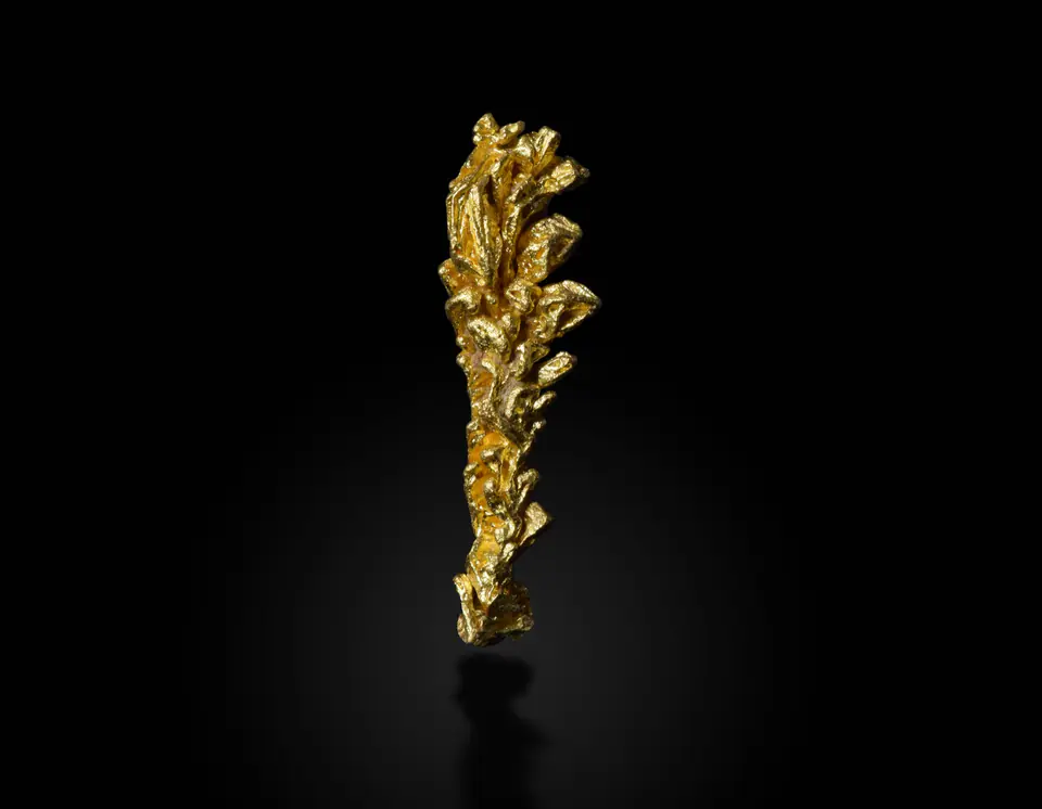 Native gold specimen from Pontes e Lacerda, Brazil, displayed against a black background