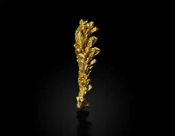 Native gold specimen from Pontes e Lacerda, Brazil, displayed against a black background
