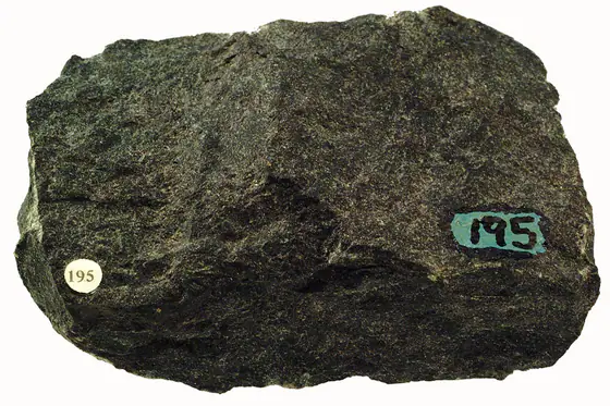 Dark fine-grained amphibolite hand specimen composed mostly of hornblende and plagioclase with minor biotite