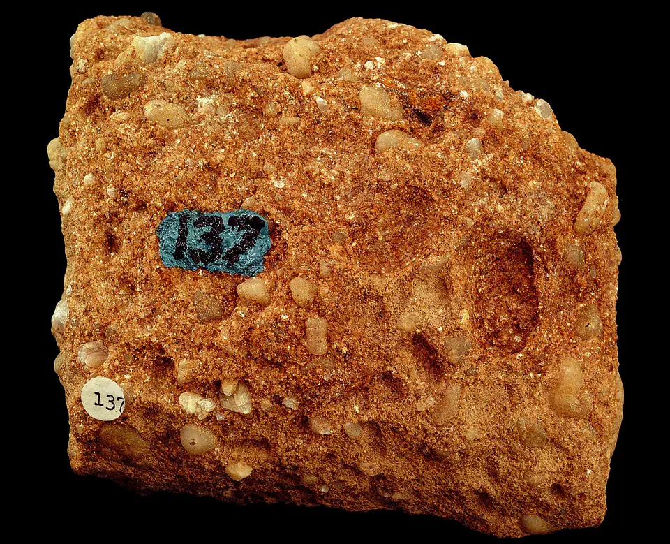 Conglomerate hand specimen containing rounded pebbles in a finer matrix