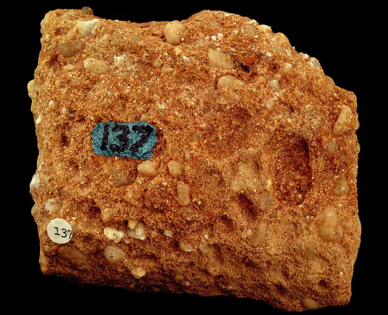 Conglomerate hand specimen containing rounded pebbles in a finer matrix