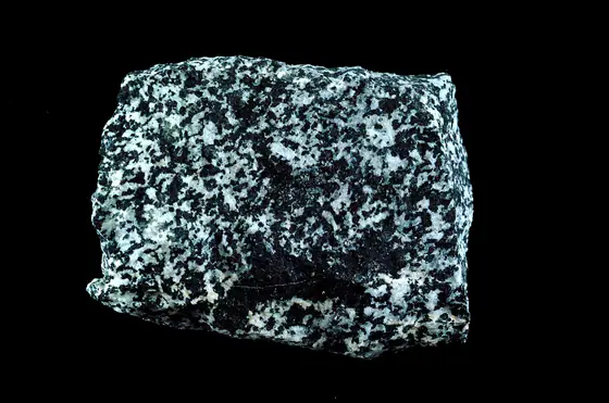 Dark-gray medium-grained diorite with black hornblende, pale plagioclase, and small titanite grains