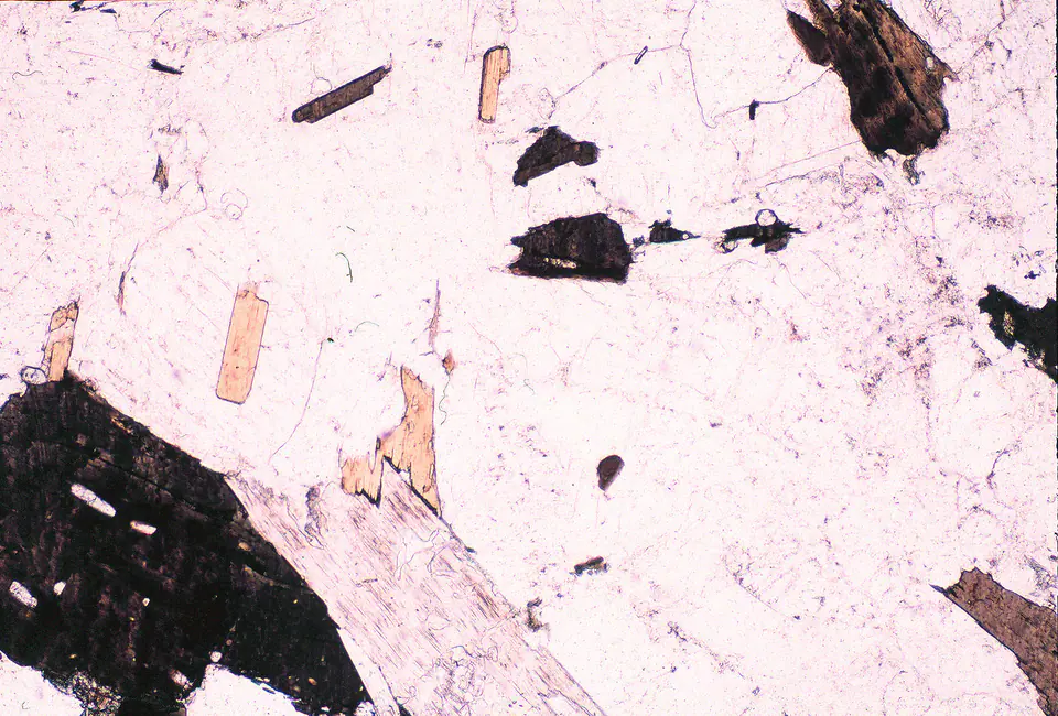 Biotite granite hand specimen with visible pink and white crystals and dark mica