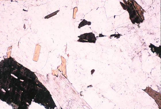 Biotite granite hand specimen with visible pink and white crystals and dark mica