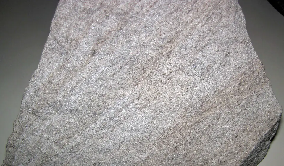 Gray Salem Limestone hand specimen from Indiana