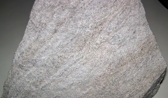 Gray Salem Limestone hand specimen from Indiana