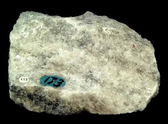 White and gray marble hand specimen with an interlocking crystalline texture