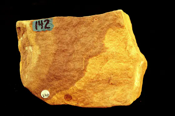 Brown sandstone hand specimen showing a granular sedimentary texture