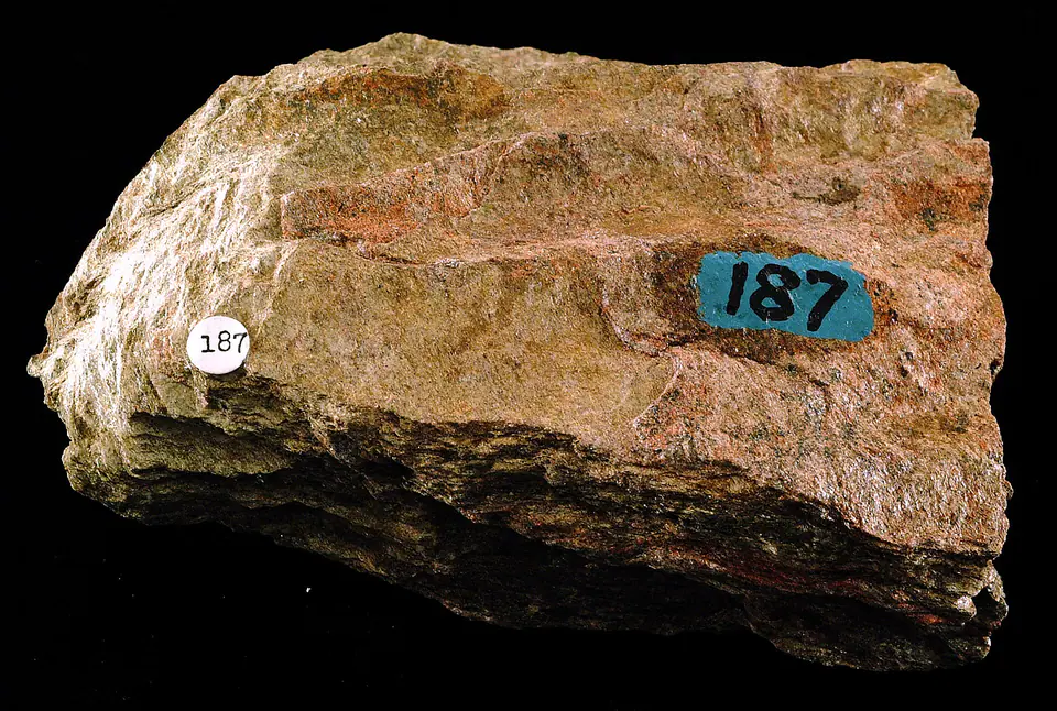 Mica schist hand specimen showing shiny aligned mineral flakes