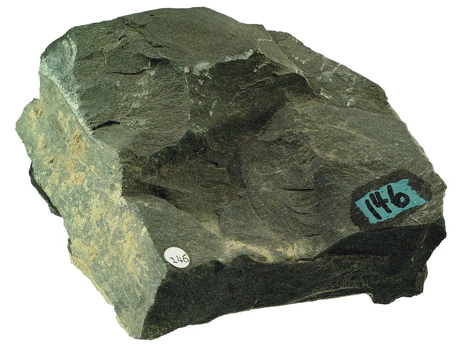 Arenaceous shale hand specimen showing thin, fissile layers