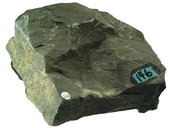 Arenaceous shale hand specimen showing thin, fissile layers