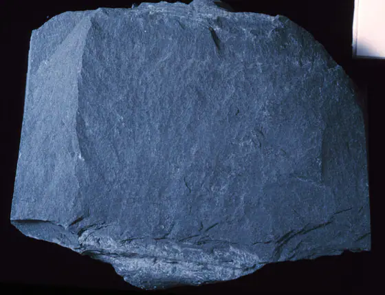 Dark gray slate hand specimen with flat slaty cleavage surfaces